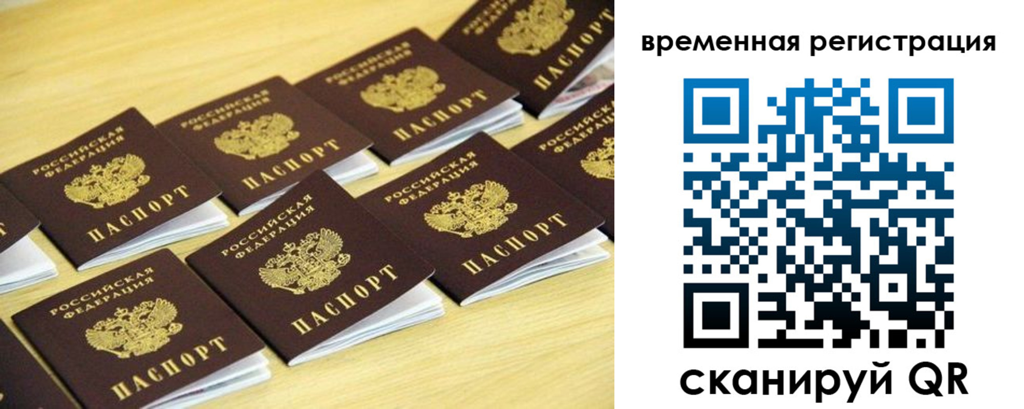 временная прописка в Щиграх